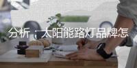 分析
：太阳能路灯品牌怎样把握高端市场?