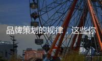 快排公司十年历程，霸屏兔 seo 的崛起与坚守