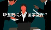 哪些药纳入了国家医保？用它随时查→