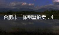 合肥市一栋别墅拍卖
，4人报名竞拍却以起拍价282万就成交了