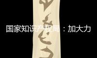 国家知识产权局�
：加大力度破解知识产权转移转化难题