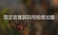 快排公司十年历程，霸屏兔 seo 的崛起与坚守