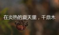在炎热的夏天里，千鼎木门为您送上一份清凉!