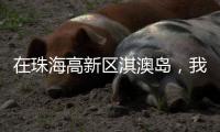在珠海高新区淇澳岛，我为全运种棵树