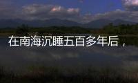 在南海沉睡五百多年后，它们终于出水展出