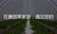 在康丽莱家居，遇见您的专属床垫