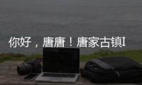 你好，唐唐	！唐家古镇IP形象创意征集赛结果揭晓→