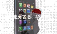 人杰地灵之地，孕育实力强大之企——杜戈