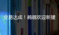 交易达成！鹈鹕欢迎新援萨迪克