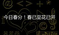 今日春分！春已至花已开，愿你不负好春光