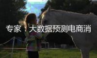 专家：大数据预测电商消费潮流