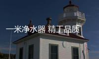 快排公司十年历程，霸屏兔 seo 的崛起与坚守