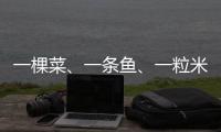 一棵菜
、一条鱼	、一粒米

：年轻人热衷务农的“乡村振兴密码”