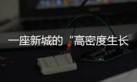 一座新城的“高密度生长法则”