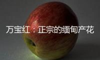 万宝红	：正宗的缅甸产花梨木肯定是大果紫檀