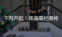 下月开航！珠海高栏港将直通巴西，大湾区企业“出海”再添新通道