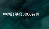 中国红基会3000只赈济家庭箱驰援云南、青海地震灾区