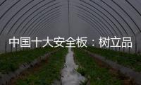 中国十大安全板：树立品牌形象 健康发展