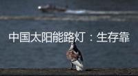 中国太阳能路灯：生存靠个人 发展靠团队