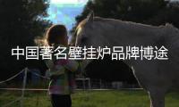 快排公司十年历程，霸屏兔 seo 的崛起与坚守