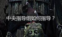 中央指导组如何指导？