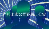 严打上市公司犯罪
，公安部公布5起典型案例
