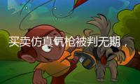 买卖仿真气枪被判无期，一位妻子的十三年诉讼路