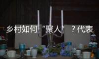 乡村如何“聚人”�？代表委员来支招