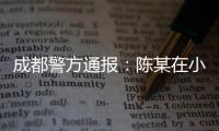 成都警方通报：陈某在小区持刀刺伤赵某
，已被刑拘