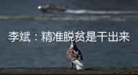 李斌：精准脱贫是干出来的
