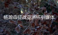 杨瀚森征战亚洲杯引媒体人热议
：就算是姚明当年也得回来打斯坦科维奇杯