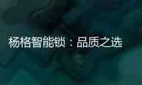 杨格智能锁：品质之选 腾讯QQfamily智能门锁独家供应商