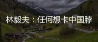 林毅夫
：任何想卡中国脖子的做法
，只会加速中国进步