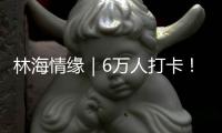 林海情缘｜6万人打卡！米林桃花旅游文化活动“火”了