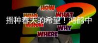 播种春天的希望！鸿鹤中学师生家长共植成长林