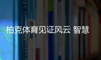 快排公司十年历程，霸屏兔 seo 的崛起与坚守