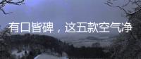 有口皆碑，这五款空气净化器品牌是夏季最好的选择