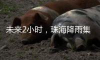 未来2小时，珠海降雨集中在金湾区	、合作区和万山区