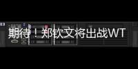 期待！郑钦文将出战WTA500华盛顿站比赛