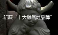 斩获“十大燃气灶品牌”称号 威力成长实力有目共睹