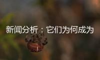 新闻分析
：它们为何成为2020年度全国十大考古新发现？