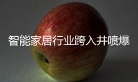 智能家居行业跨入井喷爆发期
，TCL智能门锁抢夺先机