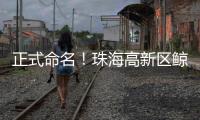 正式命名！珠海高新区鲸奇幼儿园9月“启航”招生