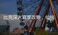 比克深入夏季攻势，仙桃市场开门红