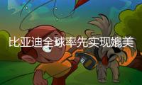 比亚迪全球率先实现媲美L4级智能泊车，承诺中国市场全面兜底