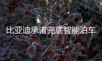 比亚迪承诺兜底智能泊车！媲美L4级体验，出了问题官方赔付