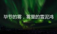 毕节的雾，雾里的雪泥鸿爪丨记者手记