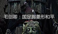 毛剑卿	：国足踢菱形和平行都没能力�，韩国队都没正儿八经踢