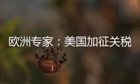 欧洲专家：美国加征关税将伤及自身 贸易战没有赢家