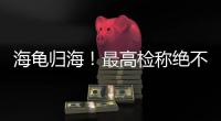 海龟归海！最高检称绝不放纵破坏资源环境非法行为